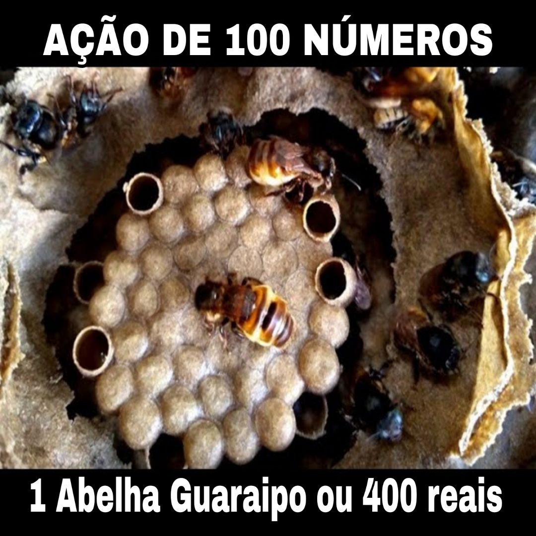 291° Edição- Ação de 100 NÚMEROS (1  Abelha Guaraipo ou 400 reais no pix ✅)