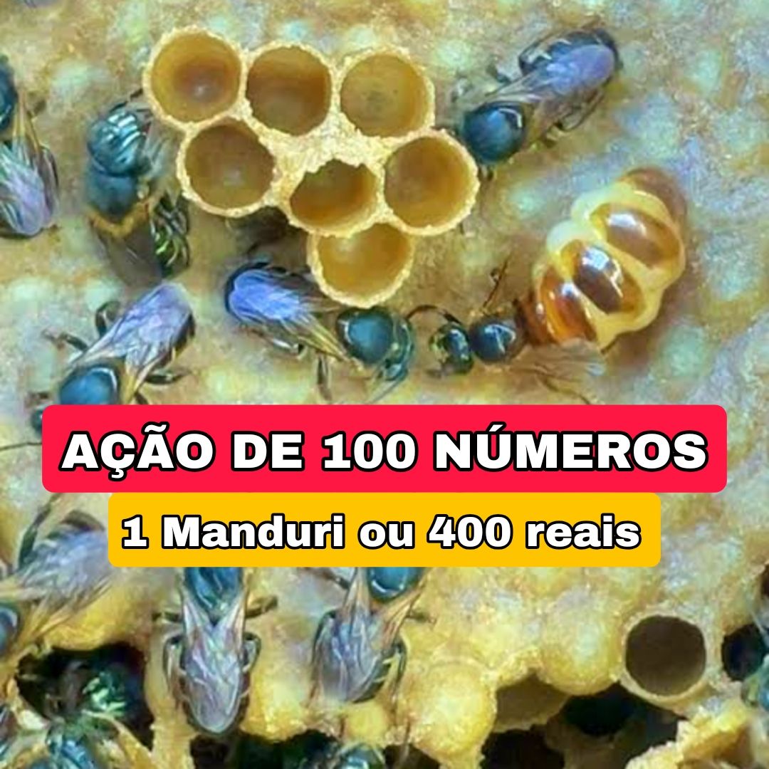 301° Edição- Ação de 100 NÚMEROS (Abelha Manduri Rajada ou 400 reais no pix ✅️)