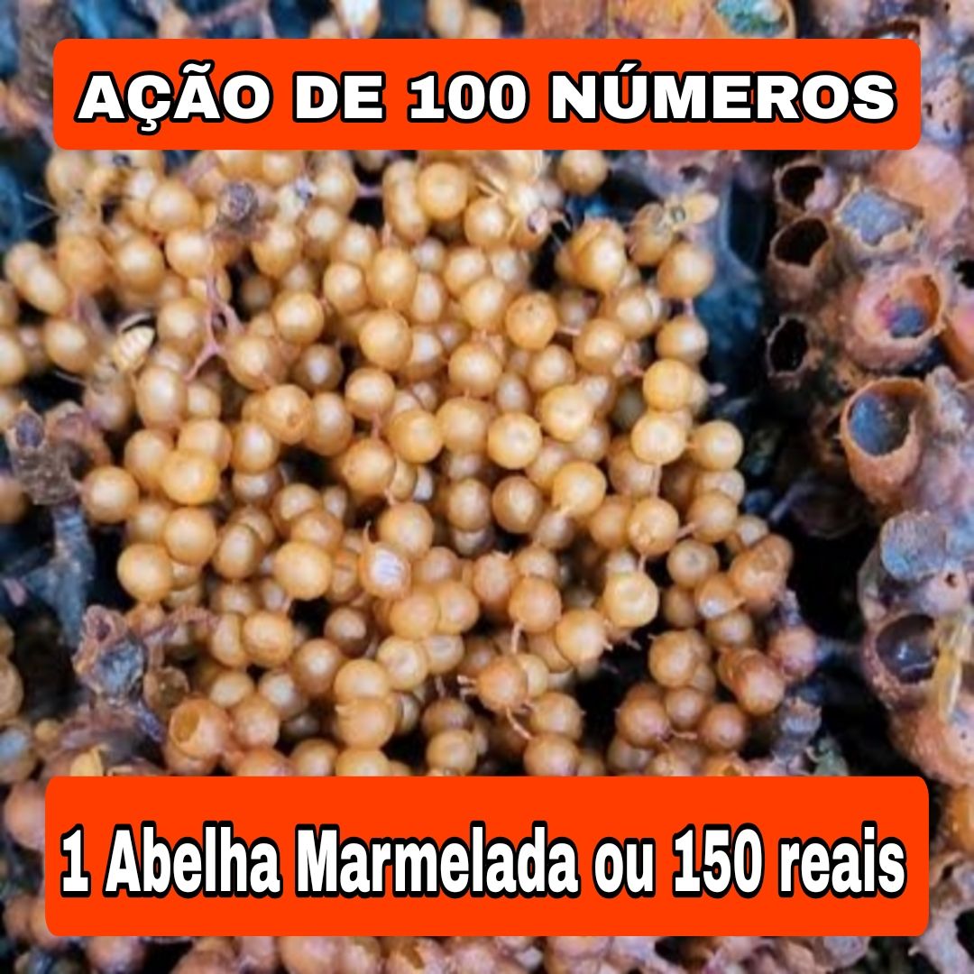 305° Edição- Ação de 100 NÚMEROS (1 Abelha Marmelada ou 150 reais no pix ✅️)