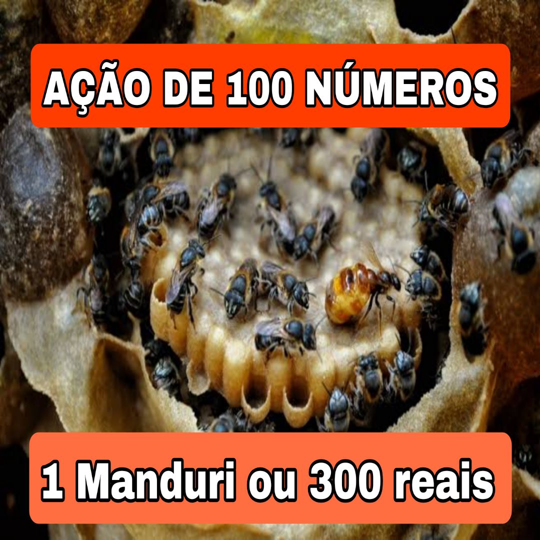 317° Edição- Ação de 100 NÚMEROS (1 Abelha Manduri Rajada ou 300 reais no pix ✅️)
